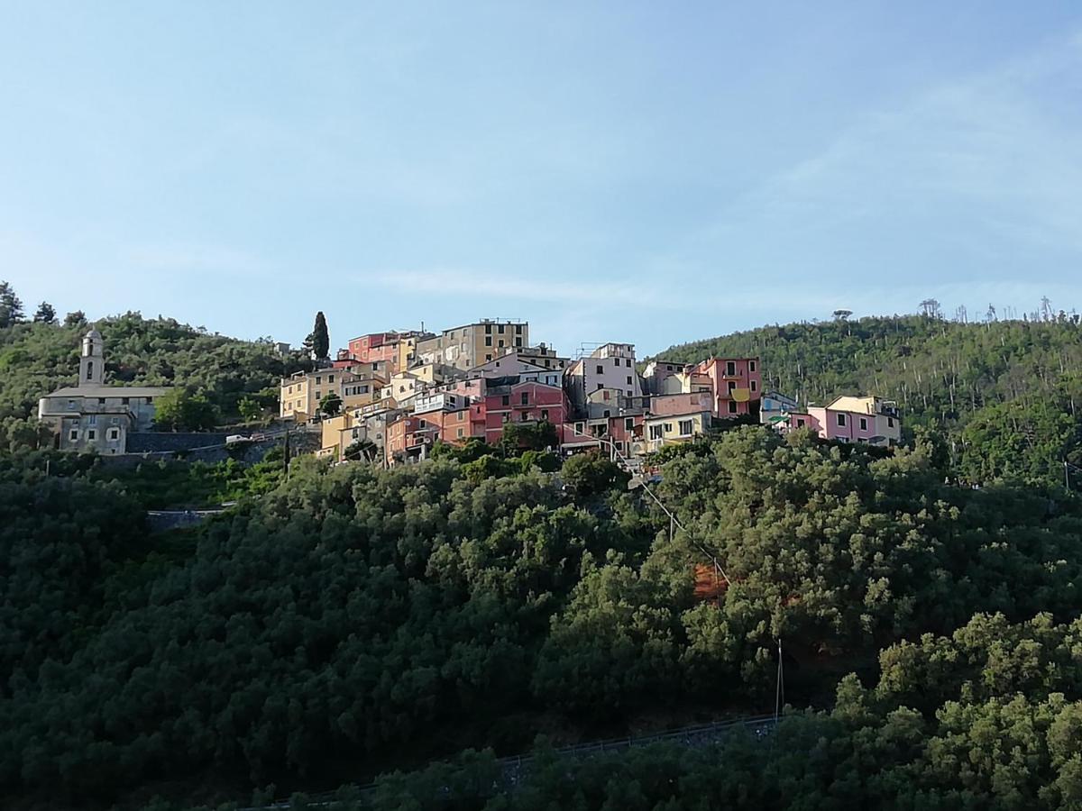 Casa Lorenzo Sulle Colline Di Levanto E Vicino Alle Cinqueterre Lt-0620 エクステリア 写真
